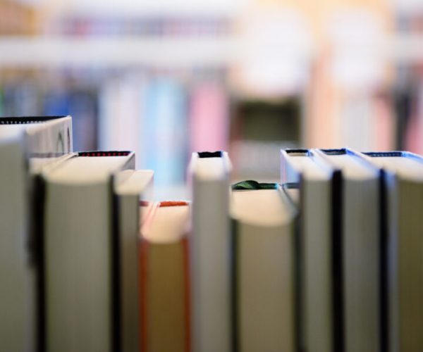 Public library bookshelf seen from inside